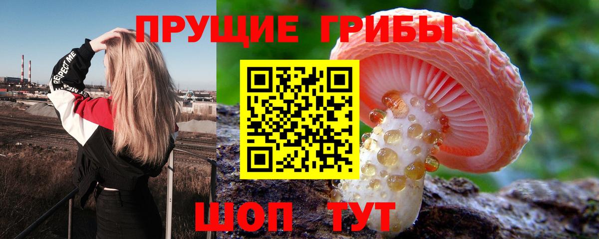 Псилоцибиновые грибы Magic Shrooms Великий Устюг